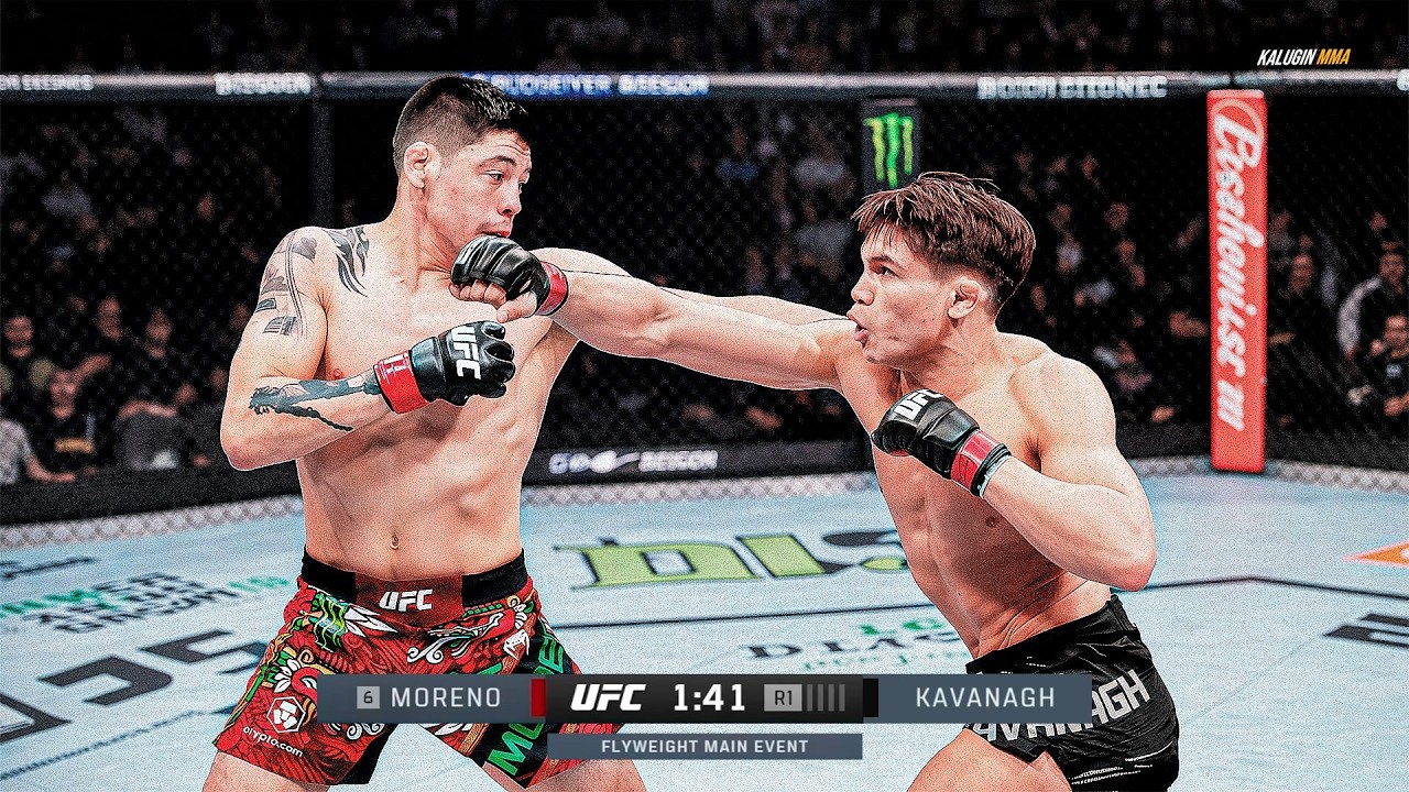 ufc-streams-watch-every-fight-night-live-without-missing-a-punch